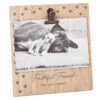 Hallmark Faithful Friend Memorial Clip Picture Frame, 4X6 -Home Improvement Store Faithful Friend Memorial Clip Picture Frame 4X6 1BMK1604 01