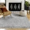 NuLOOM Gelina Soft Shaggy Tassel Area Rug -Home Improvement Store GUEST 0a6c0e8d 7ad6 469d b18d 4fb27478ebcd
