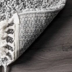 NuLOOM Gelina Soft Shaggy Tassel Area Rug -Home Improvement Store GUEST 2dfc0396 83d0 44b9 9a7c da38a966c42a