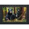 Black Bear Family Nature Doormat Indoor Outdoor 30" X 18" Briarwood Lane