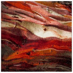 Calabasas Abstract Loomed Area Rug - Safavieh -Home Improvement Store GUEST 51b69280 2dda 4fb6 b4f0 fe4b4c5cde9c