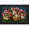 In The Garden Spring Doormat Indoor Outdoor 30" X 18" Briarwood Lane -Home Improvement Store GUEST 86bfe66a 882e 4402 83c4 3b50abac8897