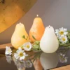 Sunny Pear Candles Kit - Set Of 3 -Home Improvement Store GUEST a0d7452b 55db 4cab bbd8 a0bdf03e6020