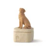 Willow Tree Light Brown Dog Figurine Keepsake Box 2 Willow Tree Light Brown Dog Figurine Keepsake Box -Home Improvement Store Light Brown Dog Figurine Keepsake Box 28176 01