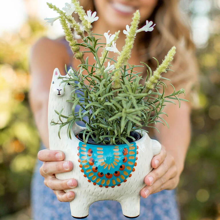 Natural Life Cream Ceramic Llama Planter 4 Natural Life Cream Ceramic Llama Planter - Image 2