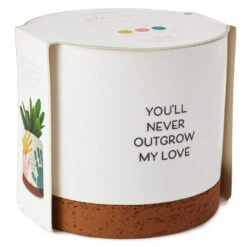 Hallmark Never Outgrow My Love Planter Handprint Kit -Home Improvement Store Never Outgrow My Love Planter With Paints 1BBY4851 03