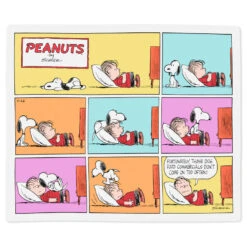 Hallmark Peanuts® Snoopy And Linus Comic Strip Throw Blanket, 50x60 -Home Improvement Store Peanuts Snoopy and Linus Comic Strip Throw Blanket 1PAJ3509 03