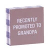 Recently Promoted To Grandpa Wood Quote Sign, 4x4 -Home Improvement Store Recently Promoted to Grandpa Wood Quote Sign 115867 01