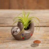 Natural Life Faux Succulent In Sloth Planter, 2" -Home Improvement Store Tiny Sloth Ceramic Planter With Faux Succulent PLNT065 01